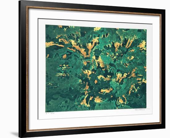 Wind White Leaves-Domenick Turturro-Framed Serigraph