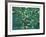 Wind White Leaves-Domenick Turturro-Framed Serigraph