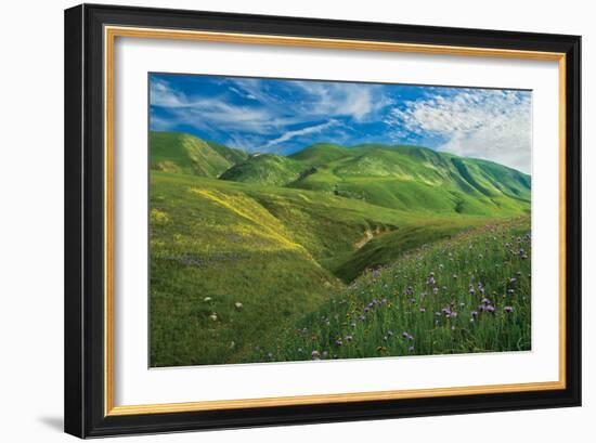 Wind Wolves-Mark Geistweite-Framed Photographic Print