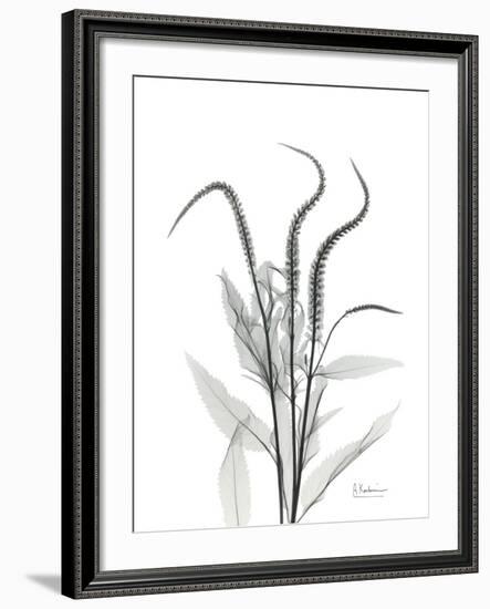 Wind Zip-Albert Koetsier-Framed Art Print