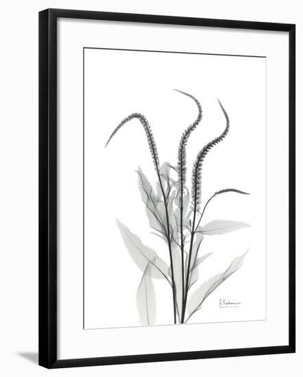 Wind Zip-Albert Koetsier-Framed Art Print