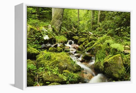 Windberg Waterfall, Near St. Blasien, Black Forest, Baden-Wurttemberg, Germany, Europe-Jochen Schlenker-Framed Premier Image Canvas