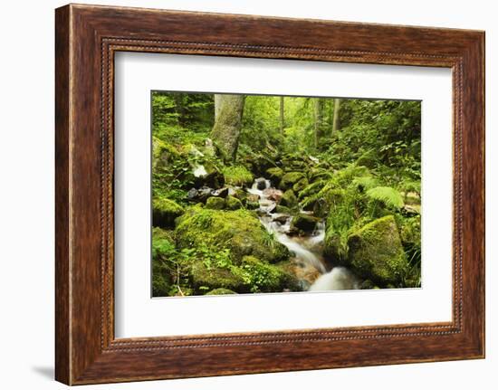 Windberg Waterfall, Near St. Blasien, Black Forest, Baden-Wurttemberg, Germany, Europe-Jochen Schlenker-Framed Photographic Print