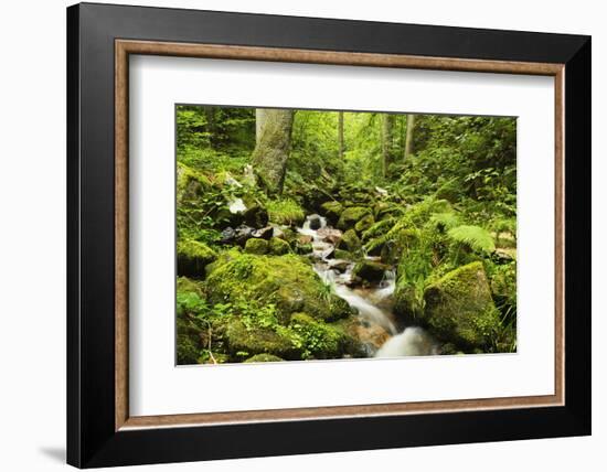 Windberg Waterfall, Near St. Blasien, Black Forest, Baden-Wurttemberg, Germany, Europe-Jochen Schlenker-Framed Photographic Print