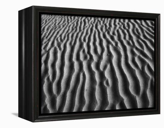 Windblown Dunes in Death Valley-Charles O'Rear-Framed Premier Image Canvas
