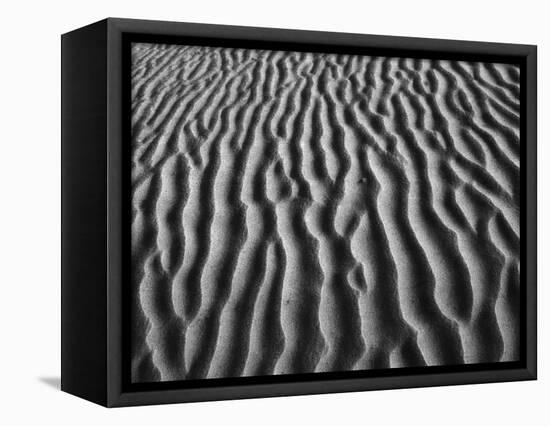 Windblown Dunes in Death Valley-Charles O'Rear-Framed Premier Image Canvas