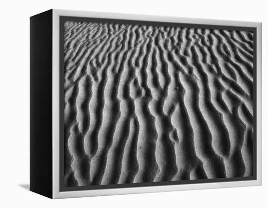 Windblown Dunes in Death Valley-Charles O'Rear-Framed Premier Image Canvas