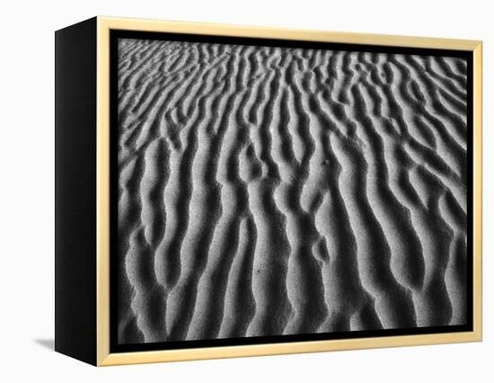 Windblown Dunes in Death Valley-Charles O'Rear-Framed Premier Image Canvas