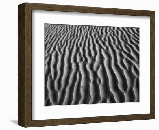 Windblown Dunes in Death Valley-Charles O'Rear-Framed Photographic Print