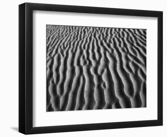 Windblown Dunes in Death Valley-Charles O'Rear-Framed Photographic Print