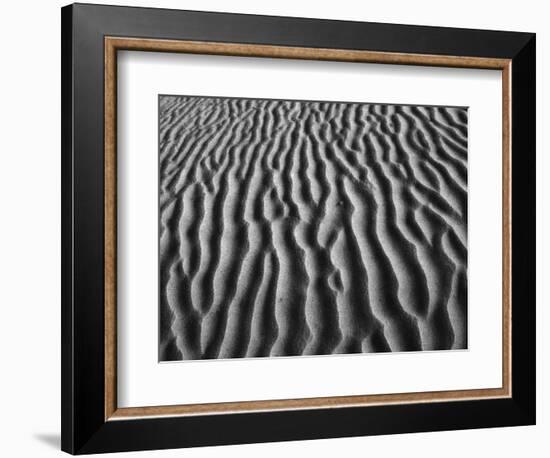Windblown Dunes in Death Valley-Charles O'Rear-Framed Photographic Print