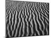 Windblown Dunes in Death Valley-Charles O'Rear-Mounted Photographic Print