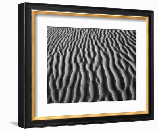 Windblown Dunes in Death Valley-Charles O'Rear-Framed Photographic Print