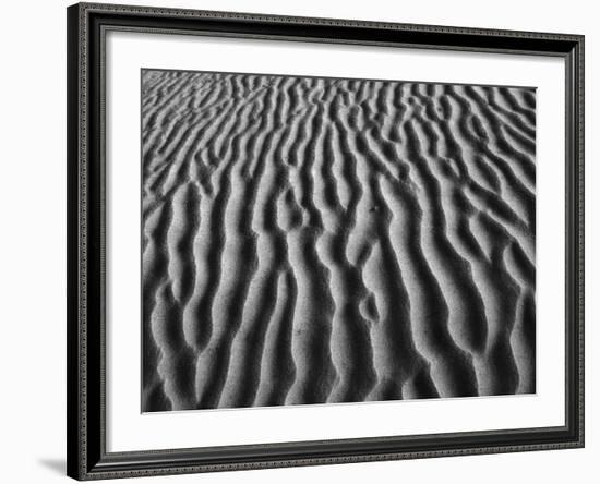 Windblown Dunes in Death Valley-Charles O'Rear-Framed Photographic Print