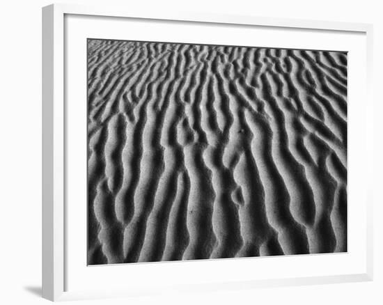 Windblown Dunes in Death Valley-Charles O'Rear-Framed Photographic Print