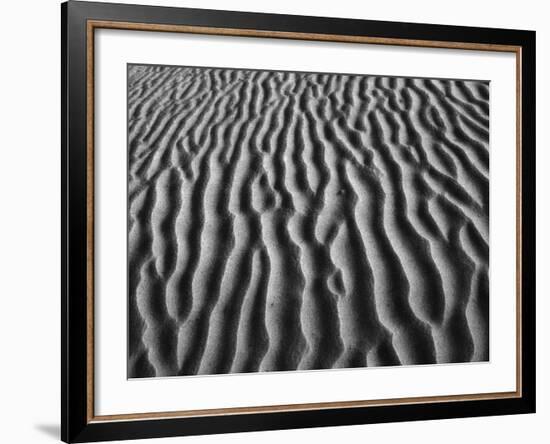 Windblown Dunes in Death Valley-Charles O'Rear-Framed Photographic Print