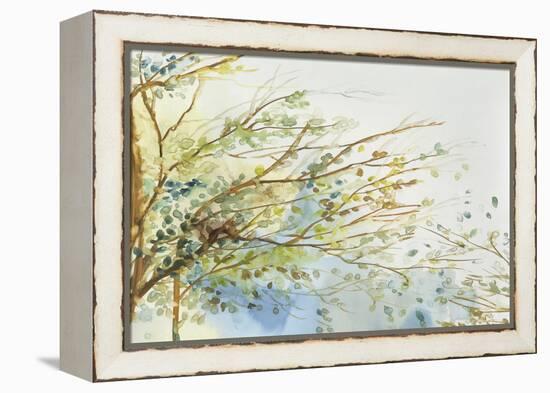 Windblown-Allison Pearce-Framed Stretched Canvas