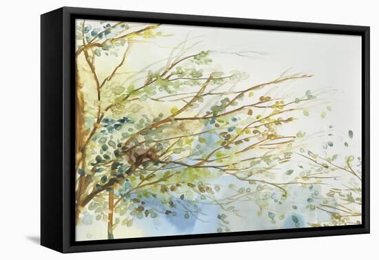 Windblown-Allison Pearce-Framed Stretched Canvas