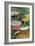 Windchime Spring-Allan Friedlander-Framed Art Print