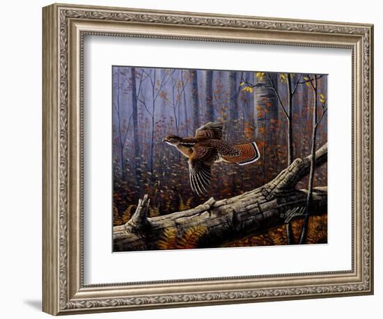 Windfall Glider - Ruffed Grouse-Wilhelm Goebel-Framed Giclee Print