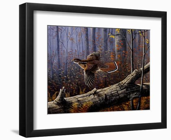 Windfall Glider - Ruffed Grouse-Wilhelm Goebel-Framed Giclee Print