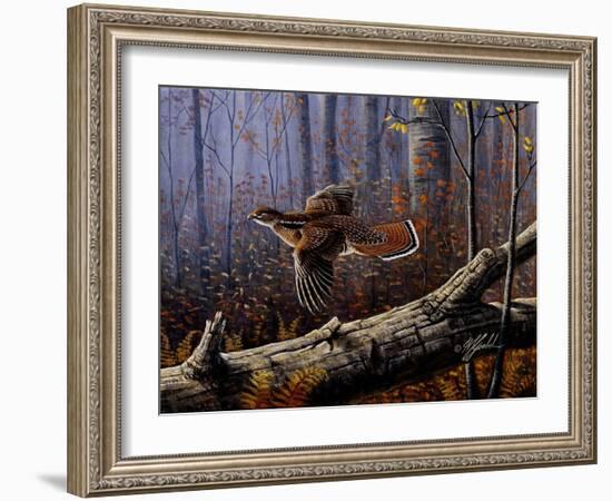 Windfall Glider - Ruffed Grouse-Wilhelm Goebel-Framed Giclee Print