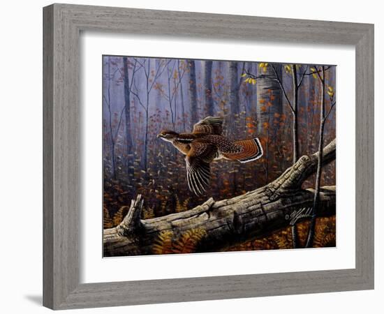 Windfall Glider - Ruffed Grouse-Wilhelm Goebel-Framed Giclee Print