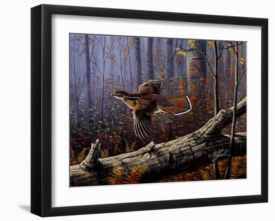 Windfall Glider - Ruffed Grouse-Wilhelm Goebel-Framed Giclee Print