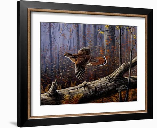 Windfall Glider - Ruffed Grouse-Wilhelm Goebel-Framed Giclee Print