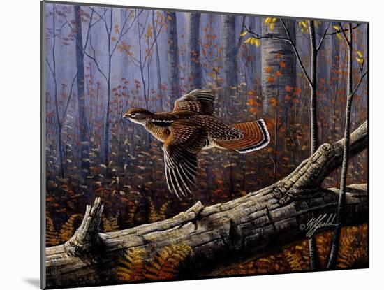 Windfall Glider - Ruffed Grouse-Wilhelm Goebel-Mounted Giclee Print