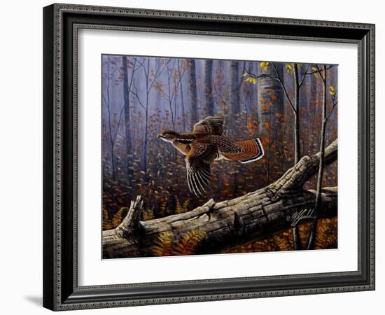 Windfall Glider - Ruffed Grouse-Wilhelm Goebel-Framed Giclee Print