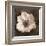 Windflower I-Heather Johnston-Framed Giclee Print