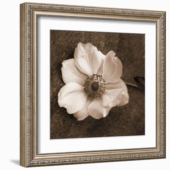 Windflower I-Heather Johnston-Framed Giclee Print