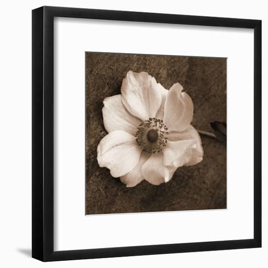 Windflower I-Heather Johnston-Framed Giclee Print