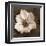 Windflower I-Heather Johnston-Framed Giclee Print