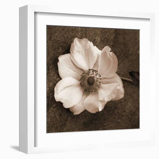 Windflower I-Heather Johnston-Framed Giclee Print