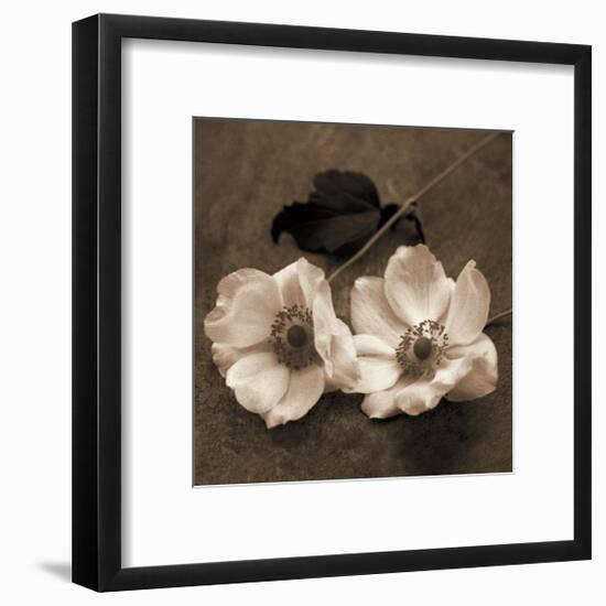 Windflower II-Heather Johnston-Framed Giclee Print