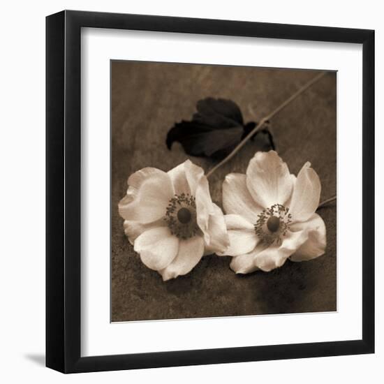 Windflower II-Heather Johnston-Framed Giclee Print