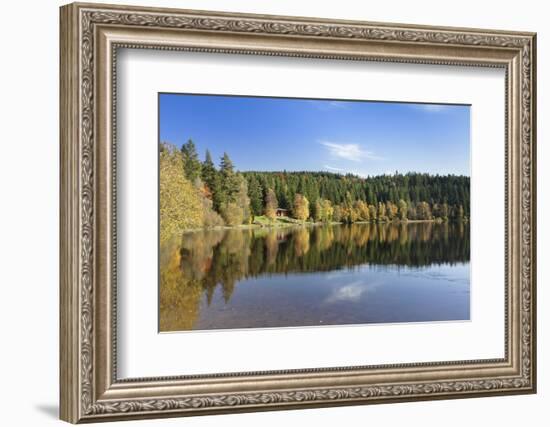 Windgfällweiher, close Schluchsee, Black Forest, Baden-Wurttemberg, Germany-Markus Lange-Framed Photographic Print