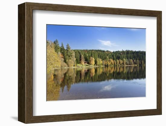 Windgfällweiher, close Schluchsee, Black Forest, Baden-Wurttemberg, Germany-Markus Lange-Framed Photographic Print