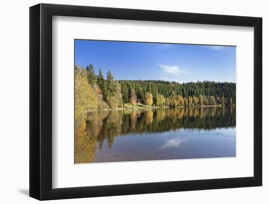 Windgfällweiher, close Schluchsee, Black Forest, Baden-Wurttemberg, Germany-Markus Lange-Framed Photographic Print