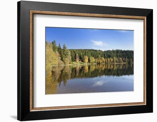 Windgfällweiher, close Schluchsee, Black Forest, Baden-Wurttemberg, Germany-Markus Lange-Framed Photographic Print