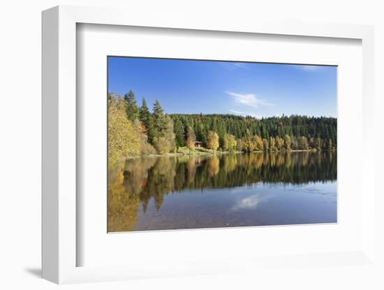 Windgfällweiher, close Schluchsee, Black Forest, Baden-Wurttemberg, Germany-Markus Lange-Framed Photographic Print