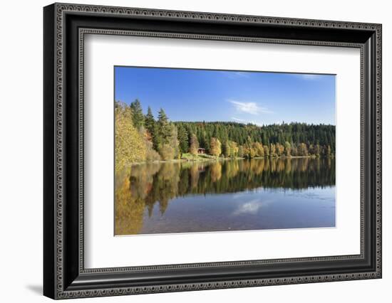 Windgfällweiher, close Schluchsee, Black Forest, Baden-Wurttemberg, Germany-Markus Lange-Framed Photographic Print