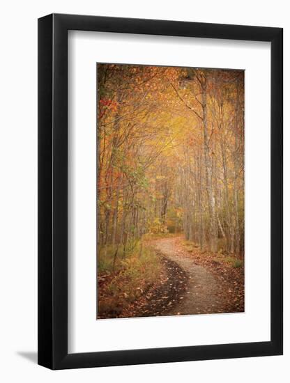 Winding Autumn Path-Michael Hudson-Framed Art Print