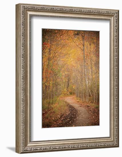 Winding Autumn Path-Michael Hudson-Framed Art Print