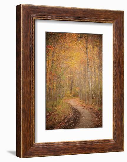 Winding Autumn Path-Michael Hudson-Framed Art Print