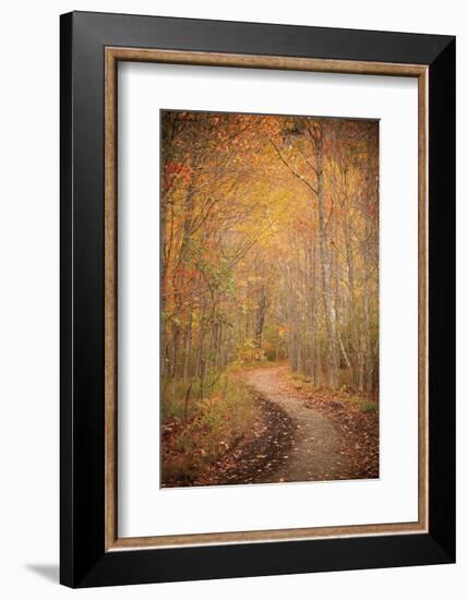 Winding Autumn Path-Michael Hudson-Framed Art Print