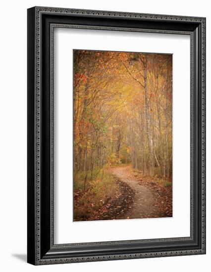 Winding Autumn Path-Michael Hudson-Framed Art Print