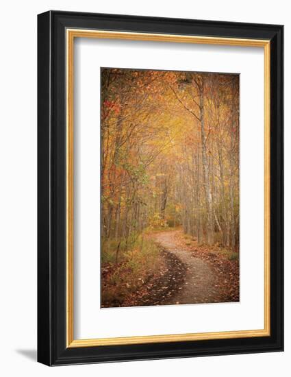 Winding Autumn Path-Michael Hudson-Framed Art Print